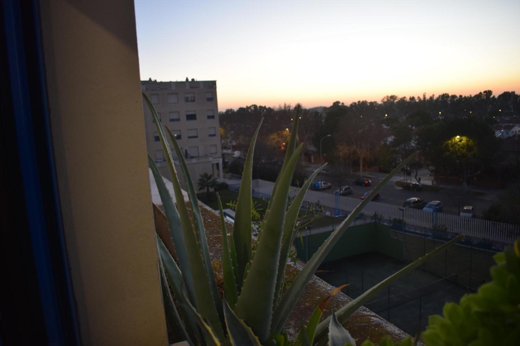 Fibes Lux Este. Apartament